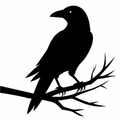 Graceful Crow Perched Vector Silhouette for Stunning Visuals