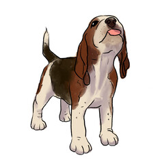 beagle puppy being funny