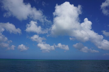 青空に浮かぶ雲