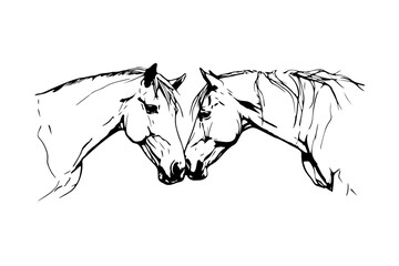 Touching moment between two horses, sketch, vector