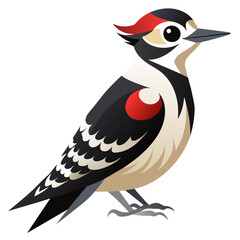 Downy Woodpecker Vector Art Detailed Illustration for Nature Enthusiasts