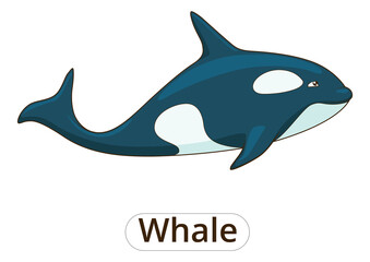 Whale orca  cartoon colorful funny hand drawn PNG illustration