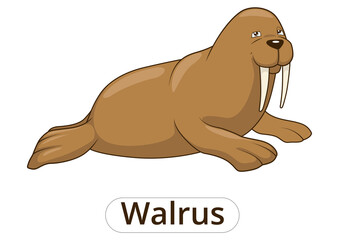 Obraz premium Walrus cartoon colorful funny hand drawn PNG illustration