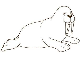 Walrus cartoon coloring book colorful funny hand drawn PNG illustration