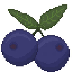 A retro-styled pixel-art illustration of two blueberries hanging from a leafy green stem.