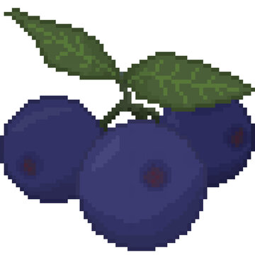  A retro-styled pixel-art illustration of blueberries hanging from a leafy green stem.
