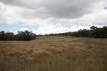 Obraz premium Open Field with Overcast Sky and Tree Line in the Distance