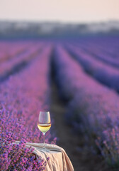 Glass of white wine in a lavender field. Violet flowers on the background.