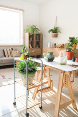 Interior of room with green plants, table and shelf unit