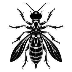 black and white beeon white