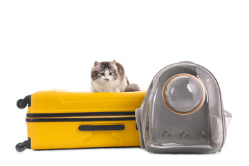 Cute cat with suitcase and backpack carrier on white background