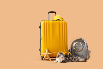 Cute cat with backpack carrier, starfish and suitcase on brown background