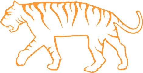 illustration of a tiger