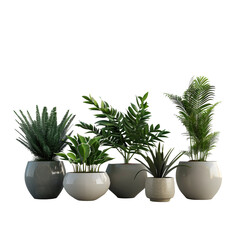 Obraz premium Collection of fake plants in pots on a transparent background. Design for a banner