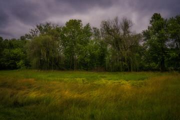 This image shows a scenic rural field in Indiana, lined with trees in the back. 