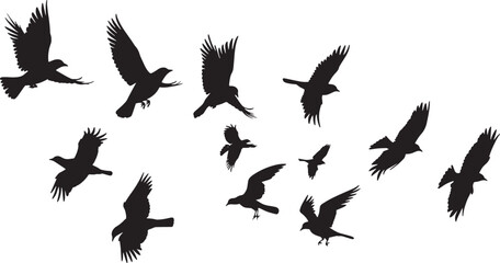 Obraz premium Silhouette Collection of Hummingbirds in Various Poses
