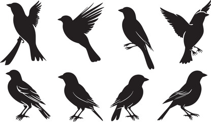 Obraz premium Silhouette Collection of Hummingbirds in Various Poses