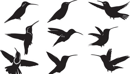 Obraz premium Silhouette Collection of Hummingbirds in Various Poses