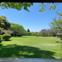 Fototapeta premium Outdoor Picture Reference. Open Lawn Foreground with Grass and Clear Sky