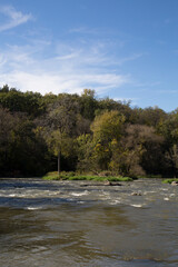 Mini Island in River at Redwood Falls MN with Spring Trees and Log in Water Vertical