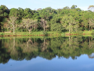 lake in the forest