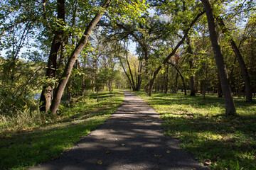 Fototapeta premium Paved Path Through a Park with Lush Grass and Abundant Trees: Scenic Walkway With Sunlight Shining Through Trees