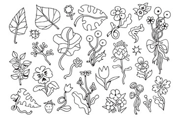 Fototapeta premium Ornamental flowers. Cartoon linear drawing. Isolated on white background. Set. Vector illustration