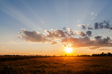 Rays of sunset light over golden grass in farm paddock