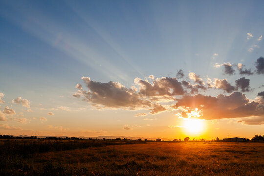 Sunset with beams of light over golden grass in farm paddock
