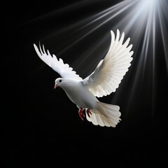 White doves with olive branches flying under the divine light