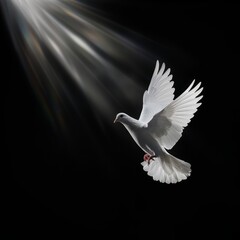 Obraz premium White doves with olive branches flying under the divine light
