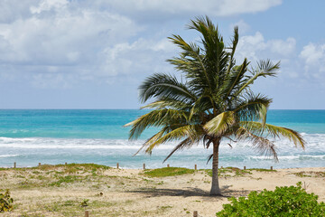 Tropical Beach