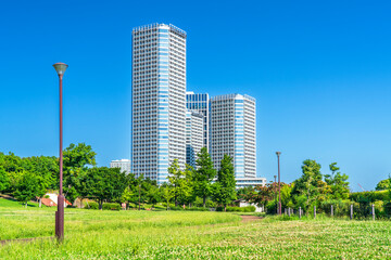 自然豊かな二子玉川公園からタワーマンション群を眺める【東京都・世田谷区】　
Futakotamagawa Park - Tokyo, Japan