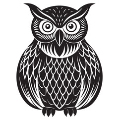 owl on white background