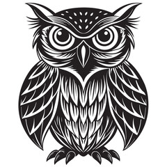 owl on white background