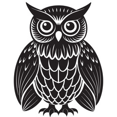 owl on white background