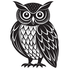 owl on white background