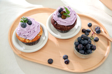 Blueberry Cupcake with Blueberry on the Plate