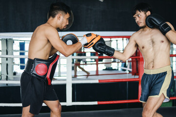 Naklejka premium Potrait Of Two MMA Fighter Focused Training Jab Technique Wear Gloves With Punching Pad. 