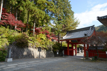 秋の本圀寺　赤門　京都市山科区