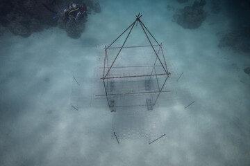Artificial reef structure waiting for coral to be planted underwater