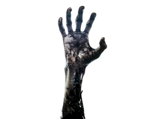 Zombie hand coming out of the ground, PNG format, transparent background