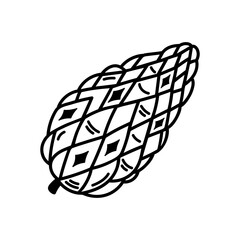 Pine cone vector icon. Seeds of coniferous trees - fir, spruce, cedar. Black and white botanical doodle. Hand drawn wild forest plant element. Vintage sketch, simple rustic clipart. Festive decoration