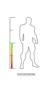 Hormone testosterone level measuring scale with muscular man silhouette. Level change according to aging