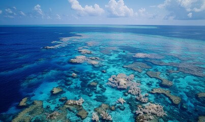 An aerial view of a coral reef suffering from bleaching, with vast areas of white, lifeless corals contrasted against patches of healthy ones