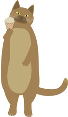 アイスクリームを持つ猫　茶色ねこ