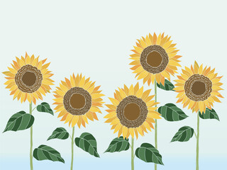 Sunflower painting. Hand-drawn vector illustration. sky bule background.	