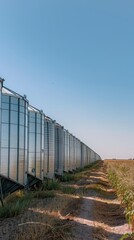 Obraz premium A long row of silver grain silos in a rural field on a sunny day
