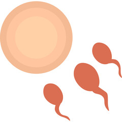 sperm cell reaching egg cell