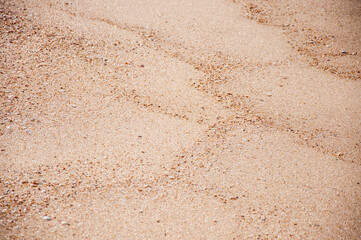 sand beach